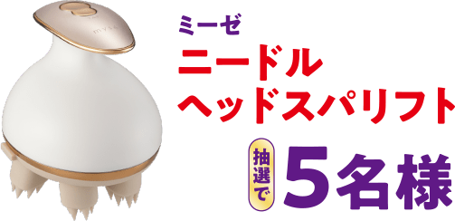 ミーゼ ニードルヘッドスパリフト